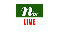 NTV Live Logo